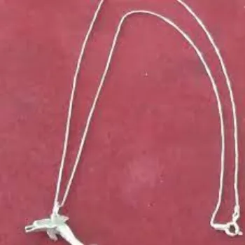Gorgeous Sterling Silver Chain
